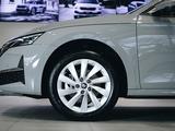 Skoda Octavia Selection 2026 года за 20 790 000 тг. в Алматы – фото 5