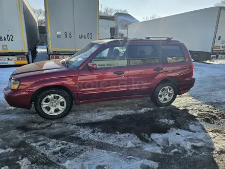 Subaru Forester 2004 года за 3 900 000 тг. в Алматы – фото 14