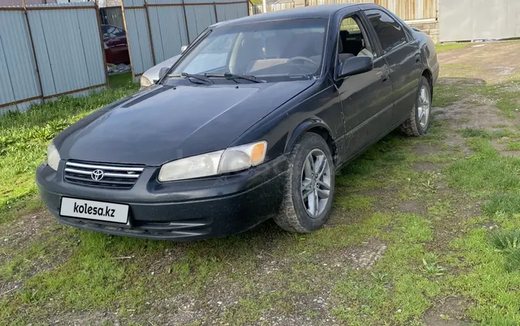 Toyota Camry 1997 года за 2 500 000 тг. в Алматы