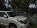 Toyota Land Cruiser Prado 2011 года за 20 000 000 тг. в Павлодар – фото 2