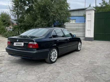 BMW 525 1997 года за 3 600 000 тг. в Тараз – фото 7