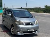 Toyota Alphard 2006 года за 7 200 000 тг. в Шымкент