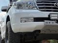 Toyota Land Cruiser 2011 года за 19 500 000 тг. в Алматы – фото 5