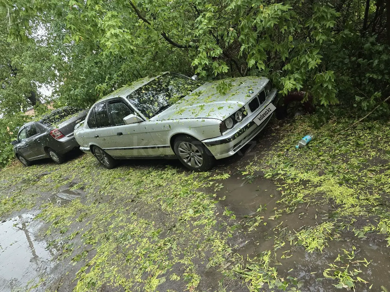 BMW 5 Series, 1990