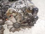 М119.980 Двигатель в зборе 5.0л за 1 200 000 тг. в Алматы – фото 2