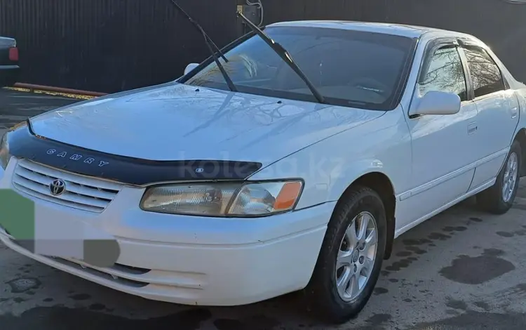 Toyota Camry 1999 года за 3 500 000 тг. в Алматы