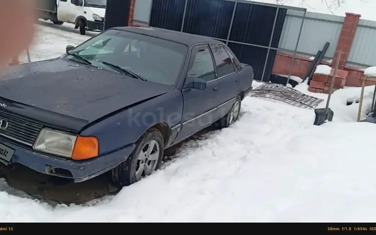 Audi 100 1991 года за 420 000 тг. в Алматы