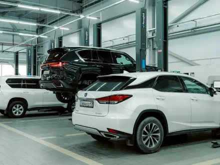Lexus Shymkent — официальный дилер в Казахстане в Шымкент – фото 44