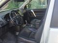 Toyota Land Cruiser Prado 2023 годаүшін29 500 000 тг. в Усть-Каменогорск – фото 4