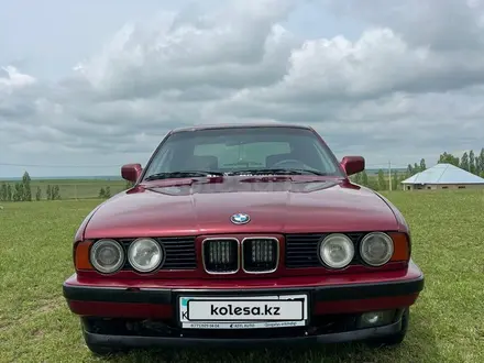 BMW 525 1992 года за 1 300 000 тг. в Шымкент