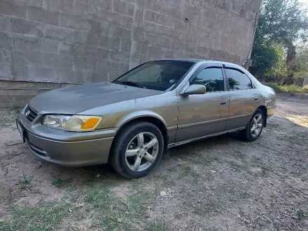 Toyota Camry 1999 года за 2 900 000 тг. в Алматы