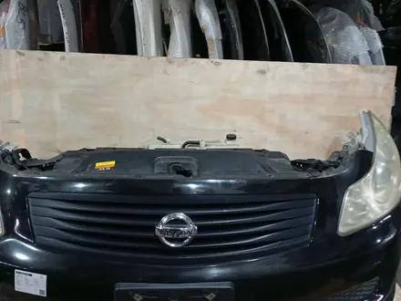 МОРДА НОУСКАТ ~ NISSAN SKYLINE V36. НОУСКАТ МИНИ за 300 000 тг. в Астана – фото 5