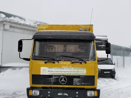 Mercedes-Benz  1317 1992 года за 6 500 000 тг. в Астана