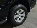 Toyota Land Cruiser Prado 2004 года за 12 100 000 тг. в Алматы – фото 14
