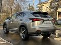 Lexus NX 300 2019 года за 16 700 000 тг. в Тараз – фото 18