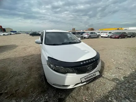 Kia Cerato 2012 года за 4 378 025 тг. в Алматы – фото 11