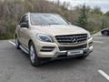 Mercedes-Benz ML 350 2012 годаfor13 800 000 тг. в Алматы – фото 39