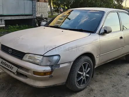 Toyota Corolla 1994 года за 1 300 000 тг. в Усть-Каменогорск – фото 4