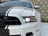 Ford Mustang 2009 года за 9 300 000 тг. в Караганда – фото 5