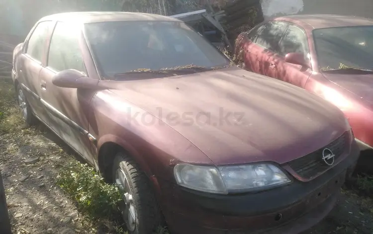 Opel Vectra 1996 годаүшін450 000 тг. в Караганда