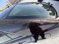 Toyota Mark II 2003 года за 3 130 000 тг. в Астана – фото 24