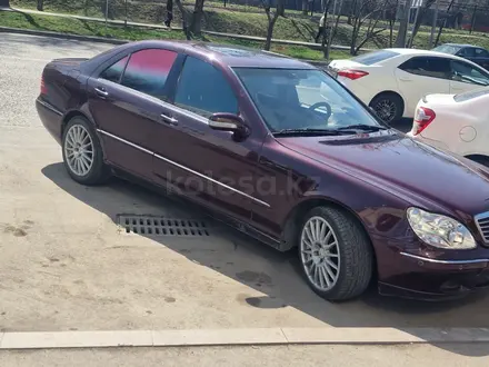 Mercedes-Benz S 320 2000 года за 3 800 000 тг. в Алматы – фото 4