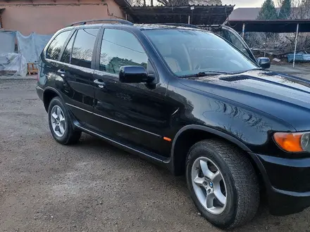 BMW X5 2001 года за 5 300 000 тг. в Алматы – фото 16