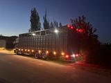 Mercedes-Benz  Axor 2006 годаүшін25 000 000 тг. в Шымкент – фото 5