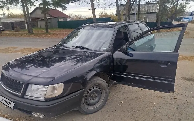 Audi 100 1992 года за 2 200 000 тг. в Кашыр