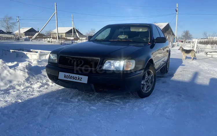 Audi 100 1992 года за 2 100 000 тг. в Петропавловск