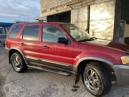 Ford Escape 2005 года за 4 500 000 тг. в Павлодар – фото 4