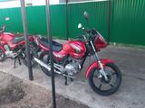 Yamaha  YBR125 2007 годаүшін380 000 тг. в Атырау – фото 2