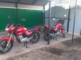 Yamaha  YBR125 2007 года за 350 000 тг. в Атырау – фото 3