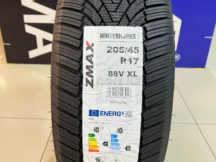 Zmax 2024 Winterhawke I 205/45R17 88V XL за 35 000 тг. в Алматы