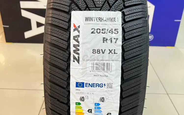 Zmax 2024 Winterhawke I 205/45R17 88V XLүшін35 000 тг. в Алматы