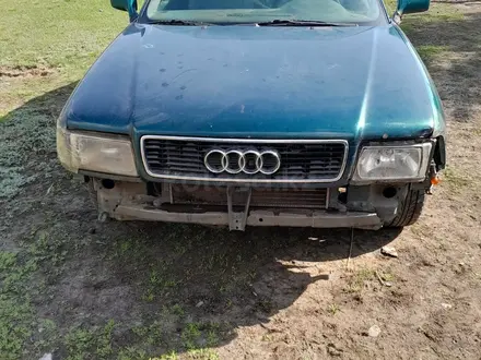 Audi 80 1994 года за 900 000 тг. в Петропавловск