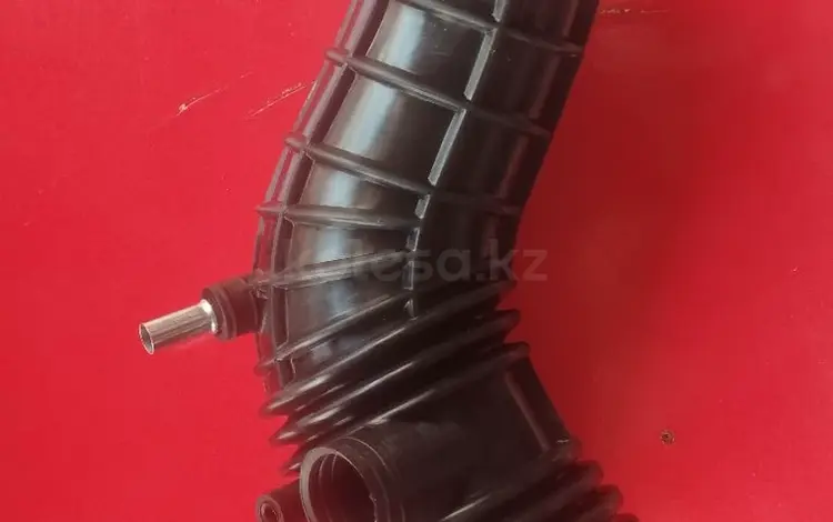 Гофра воздушного фильтра Хонда аккорд за 7 500 тг. в Алматы