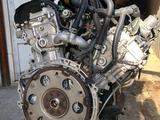 Двигатель Мотор 1GR-FE на Toyota Land Cruiser Prado 1GR/1UR/3UR/2TR/2UZ за 55 888 тг. в Алматы – фото 2