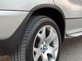 BMW X5 2001 годаүшін6 900 000 тг. в Шымкент – фото 19