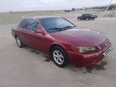 Toyota Camry 2001 года за 2 700 000 тг. в Тараз