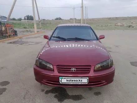 Toyota Camry 2001 года за 2 700 000 тг. в Тараз – фото 2