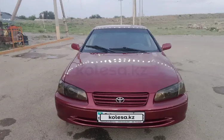 Toyota Camry 2001 года за 3 000 000 тг. в Тараз