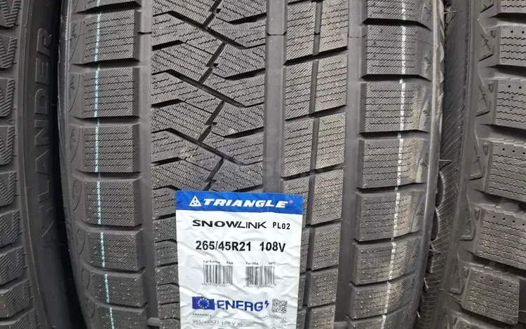 Triangle Snowlink PL02 за 65 000 тг. в Астана