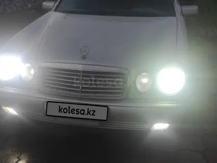 Mercedes-Benz E 55 AMG 1997 года за 4 700 000 тг. в Алматы – фото 2