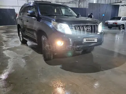 Toyota Land Cruiser Prado 2011 года за 15 900 000 тг. в Тараз – фото 30