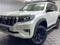 Toyota Land Cruiser Prado Prestige 4.0 2019 года за 26 300 000 тг. в Алматы
