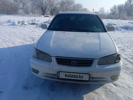 Toyota Camry 2001 года за 3 300 000 тг. в Алматы