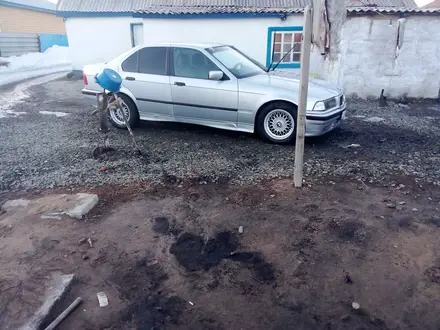 BMW 316 1991 года за 1 250 000 тг. в Павлодар – фото 5