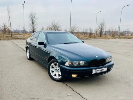 BMW 525 1996 года за 3 100 000 тг. в Алматы – фото 7