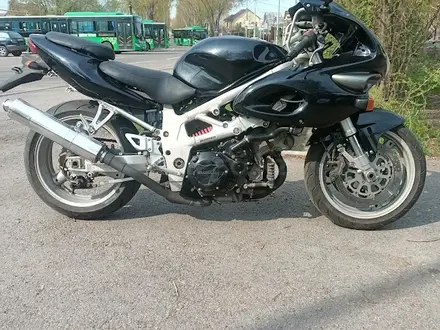 Suzuki  TL 1000 2000 года за 2 100 000 тг. в Алматы – фото 4